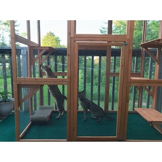 Shop Large Wooden Outdoor Cat Enclosure Cage With 6 Platforms 71